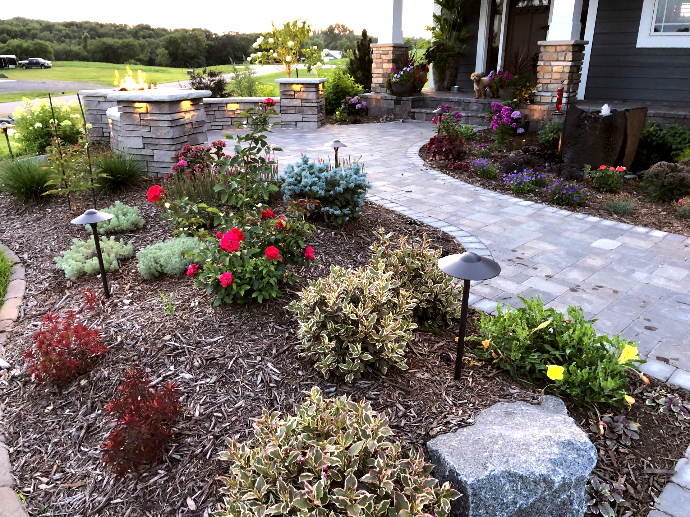front yard garden bed with salvia, catmint, and allium